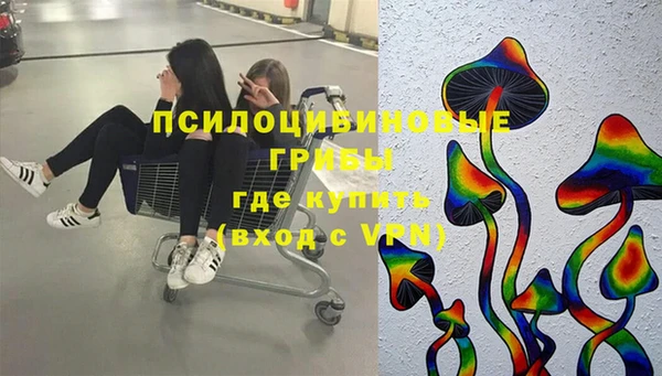 дурь Арсеньев