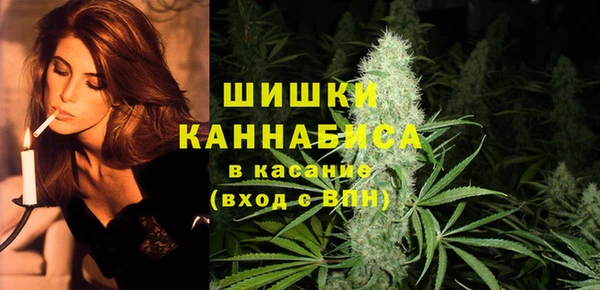 дурь Арсеньев