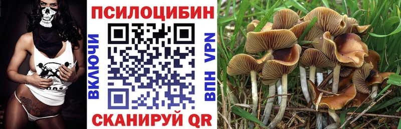 Псилоцибиновые грибы мухоморы  купить наркотики цена  Аша 